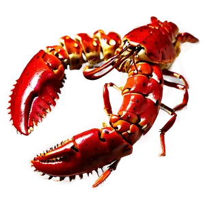 Red Lobster On White Background Png 63 PNG image