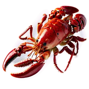 Red Lobster Seafood Png 48 PNG image