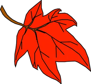 Red Maple Leaf Graphic