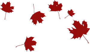 Red Maple Leaves Clipart PNG image