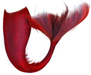 Red Mermaid Tail Artwork.png PNG image
