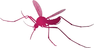 Red Mosquito Illustration PNG image