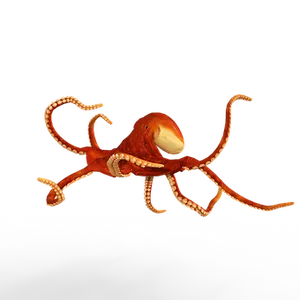 Red Octopus Black Background PNG image