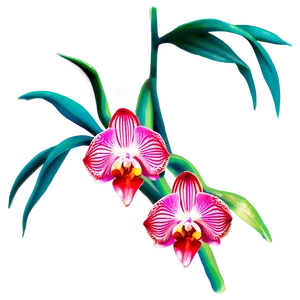 Red Orchid PNG Vgy