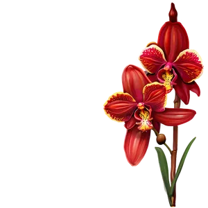 Red Orchids Elegance Png 23 PNG image