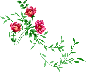 Red Peony Flower Clipart