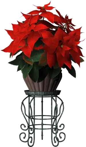 Red Poinsettiain Decorative Stand PNG image