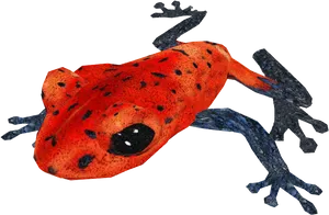 Red Poison Dart Frog Black Background