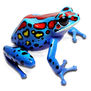 Red Poison Dart Frog Png 06132024 PNG image