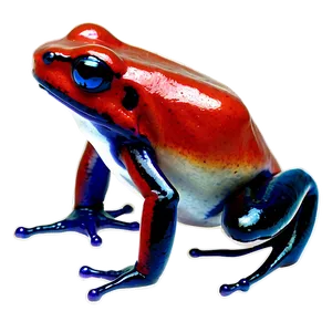 Red Poison Dart Frog Png Bxx PNG image