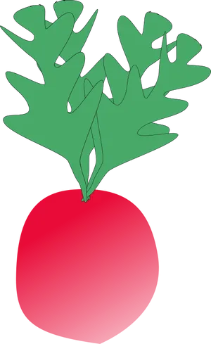 Red Radish Cartoon Illustration PNG image