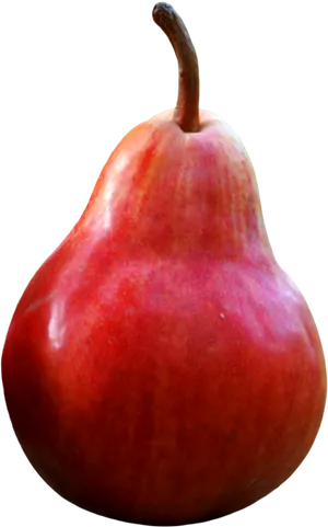 Red Ripe Pear Fruit PNG