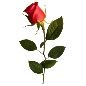 Red Rose Arrangement PNG Sqk34
