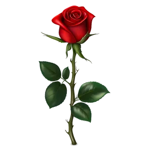 Red Rose Background PNG 72