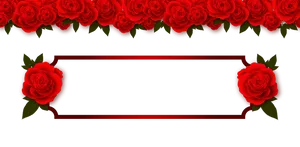 Red Rose Banner Design