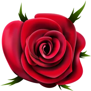 Red Rose Black Background