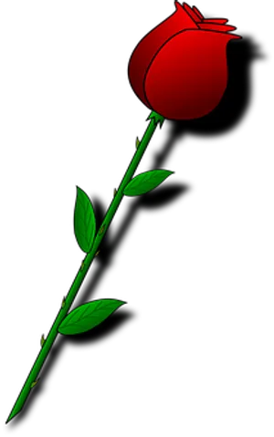 Red Rose Black Background