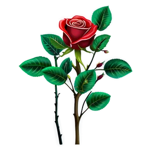 Red Rose Branch PNG 05242024