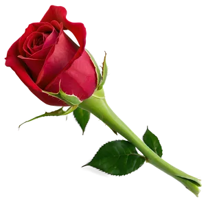 Red Rose Bud PNG 05242024
