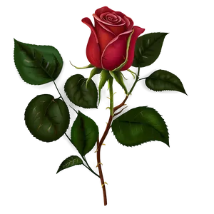 Red Rose Clipart PNG 74