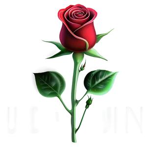 Red Rose Fade PNG Lds PNG