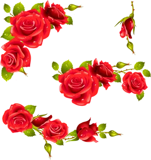 Red Rose Floral Design Element PNG image