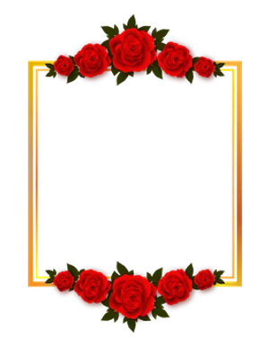 Red Rose Frameon Black Background