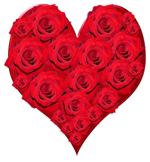 Red Rose Heart Valentines