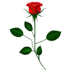 Red Rose Icon PNG 49 PNG
