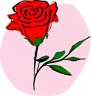 Red Rose Illustration