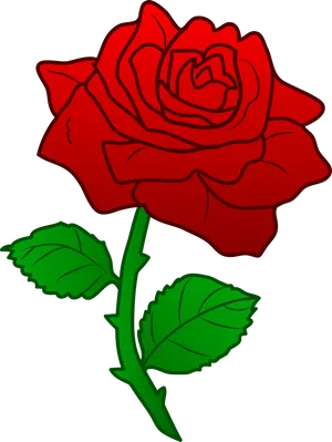 Red Rose Illustration.png PNG image