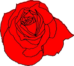 Red Rose Line Art Drawing PNG image