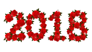 Red Rose Love Text Graphic PNG