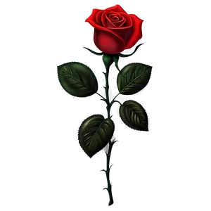 Red Rose On Black PNG 31 PNG