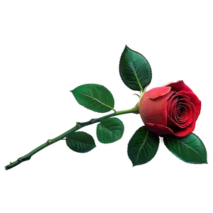 Red Rose On Black PNG Jlq PNG