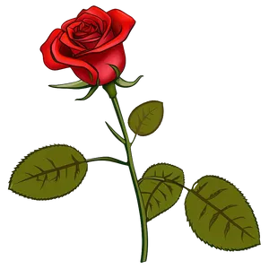 Red Rose Outline PNG 48