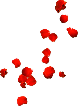 Red Rose Petals Falling Black Background PNG image