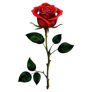 Red Rose PNG 04292024