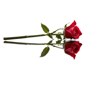 Red Rose Reflection PNG 78 PNG