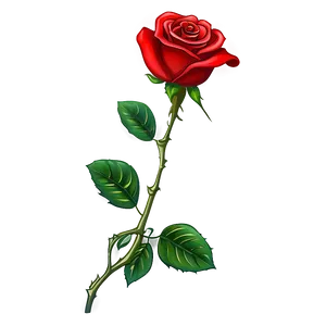 Red Rose Stem Illustration PNG image