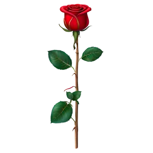 Red Rose Stem PNG Meu34 PNG