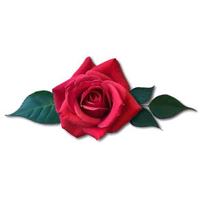 Red Rose Sunset PNG 14 PNG