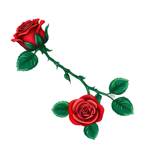 Red Rose Two Blooms Vector Illustration PNG image