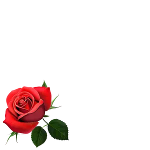 Red Rose Wallpaper PNG 53