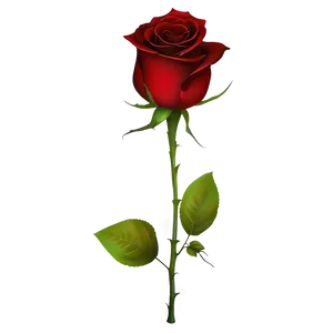 Red Rose Wallpaper PNG 79