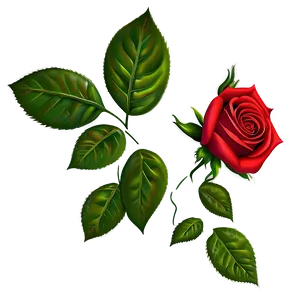Red Rose Wallpaper PNG Orn67