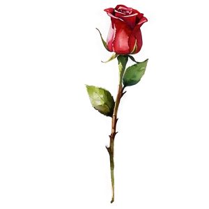 Red Rose Watercolor PNG 05242024