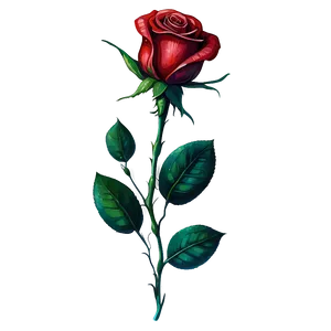 Red Rose Watercolor PNG 34