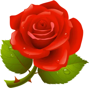 Red Rose With Dew Drops.png