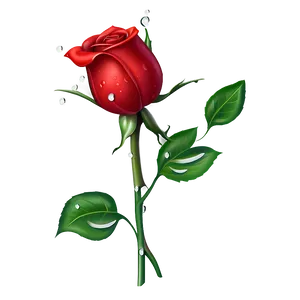 Red Rose With Dewdrops PNG 10